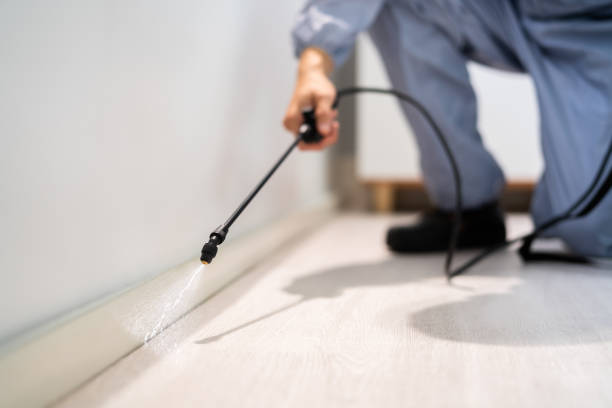 Licensed Cockroach Control service in Burlington, IA - Nex Pest Control