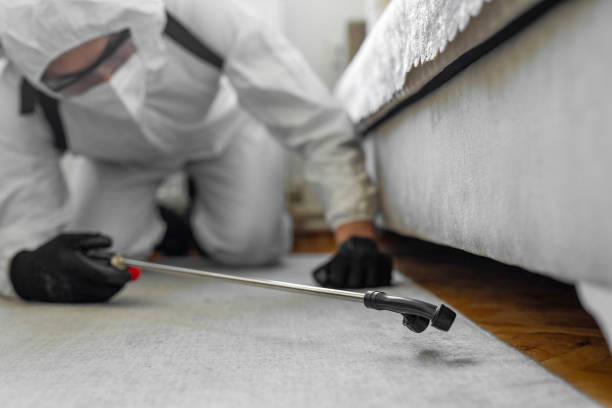 Professional Cockroach Control technician working in Burlington, IA