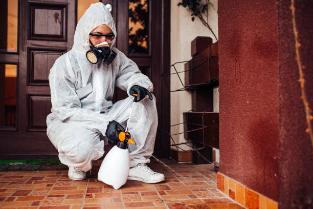 Reliable Cockroach Control contractor in Burlington, IA by Nex Pest Control