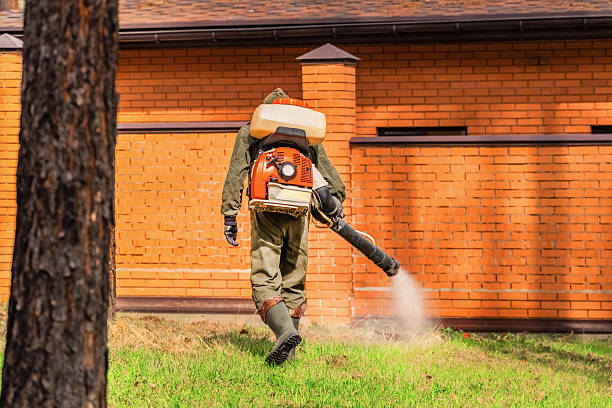 Trusted Cockroach Control service in Burlington, IA - Nex Pest Control